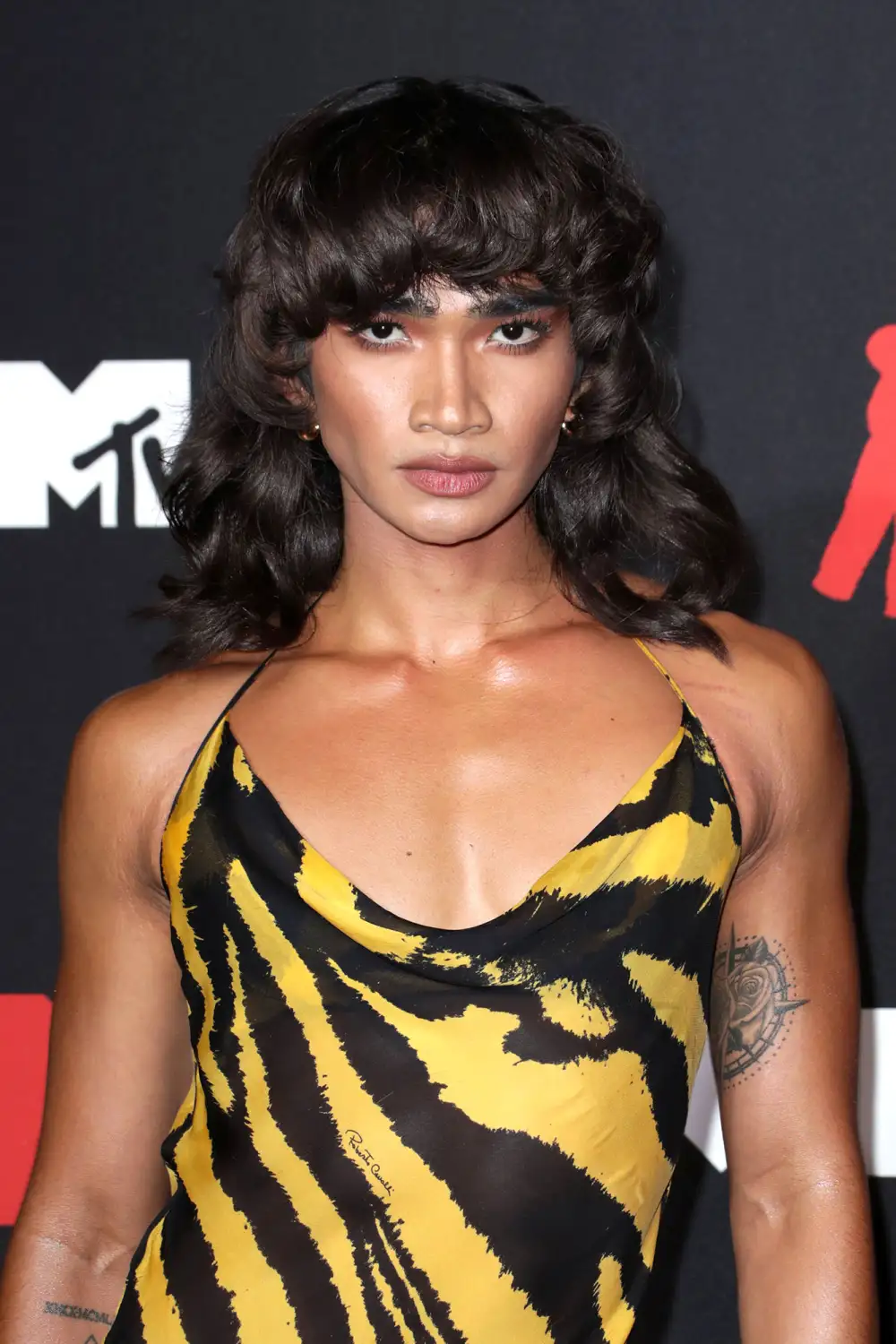 Bretman Rock Wears Same Zebra-Print Dress to 2021 VMAs That Aaliyah Wore in 2001 02 2021 VMAs