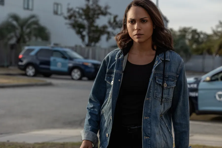 Fall TV Preview Hightown