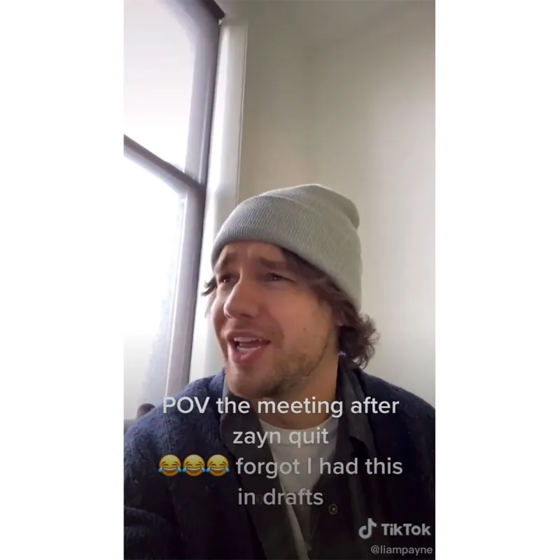Liam Payne Shares Hilarious TikTok About Meeting After Zayn Malik Quit 2 TikTok