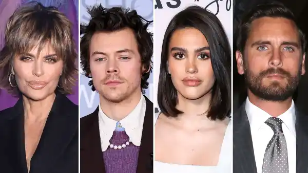 Lisa Rinna Posts Photo of Harry Styles After Shading Amelia Gray Hamlin Boyfriend Scott Disick