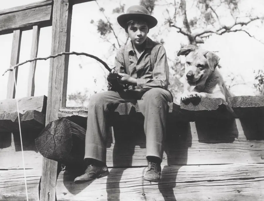 Old Yeller Tommy Kirk Dead 79