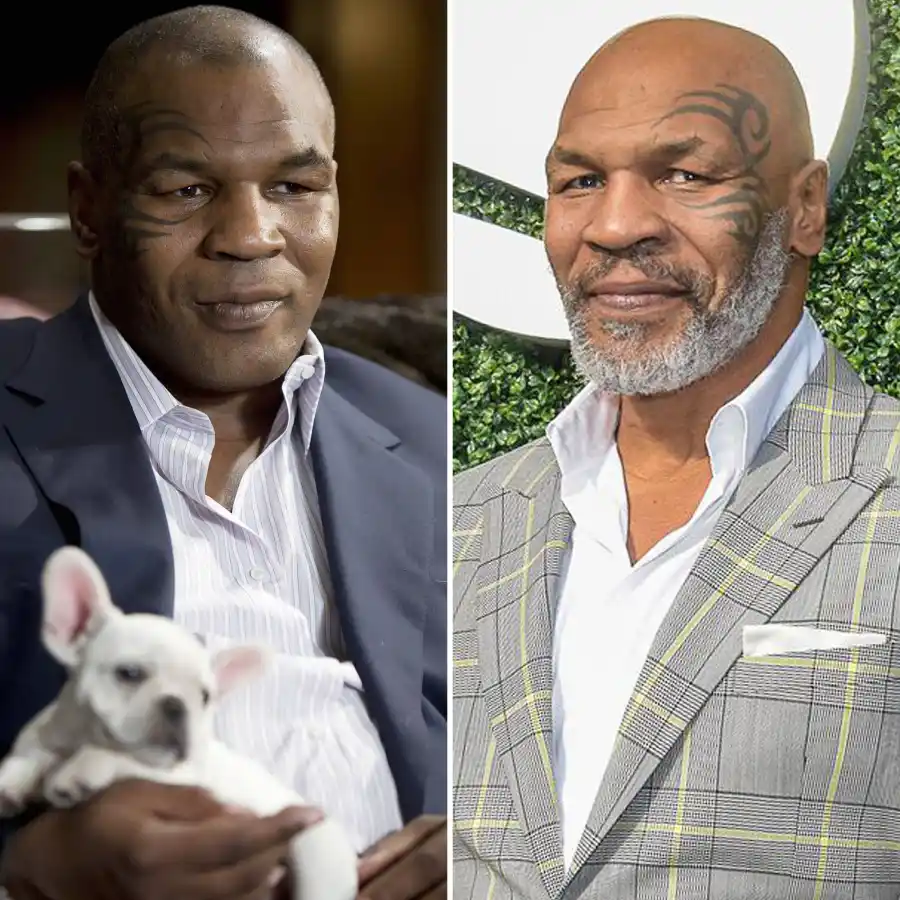 The Hangover Cast Where Are They Now Mike Tyson