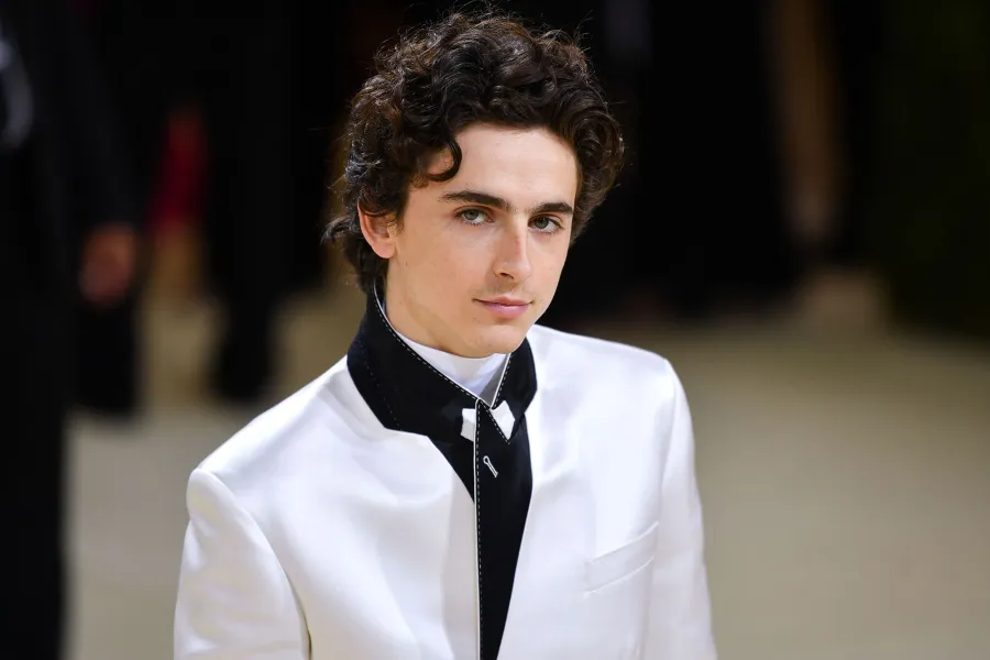 Timothee Chalamet Met Gala 2021 05