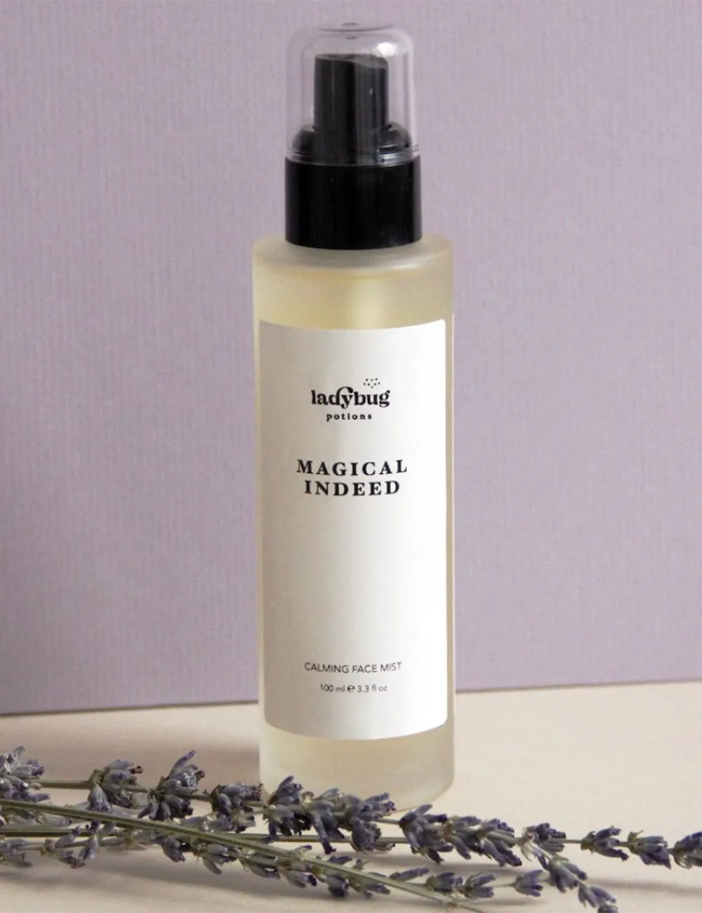 Ladybug-magical-indeed