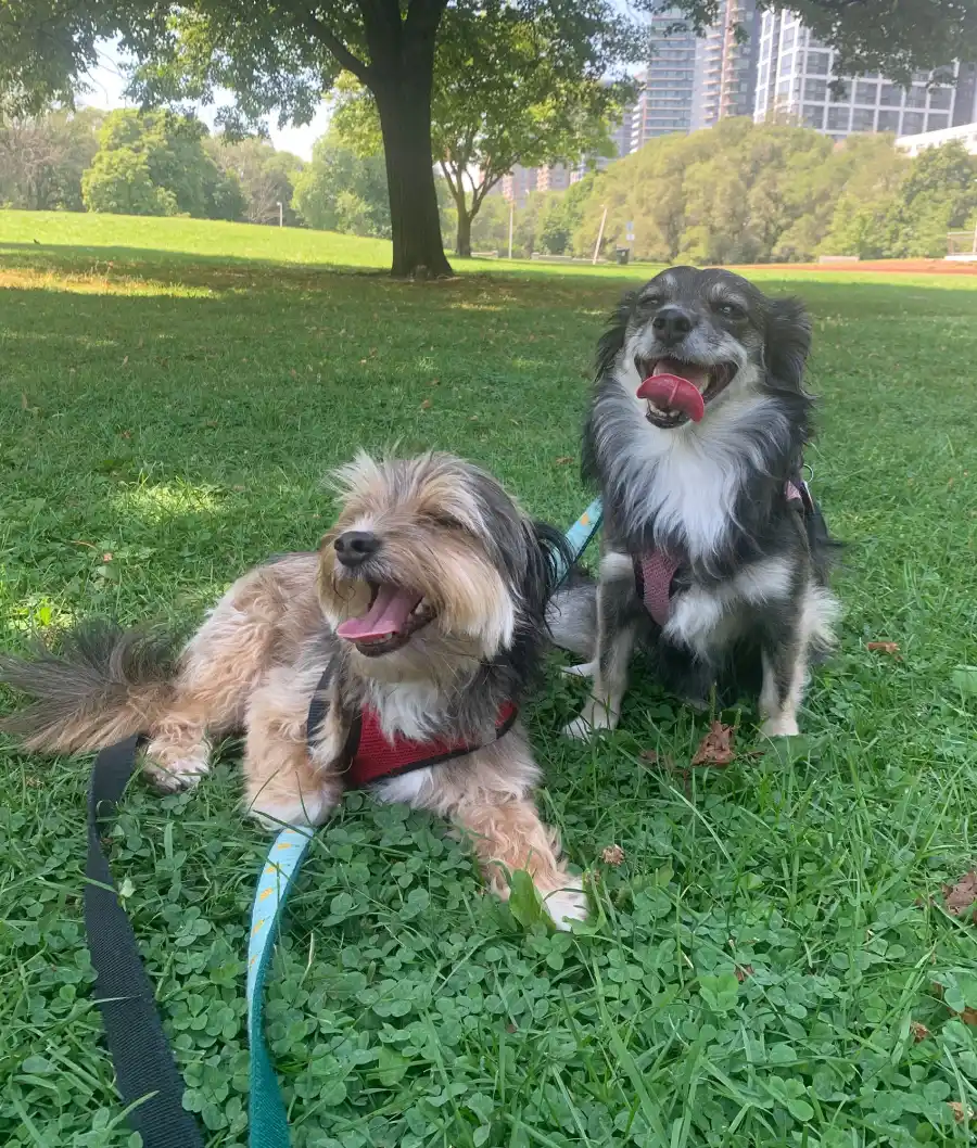 Actress Adrienne C. Moore: A Day in My Life