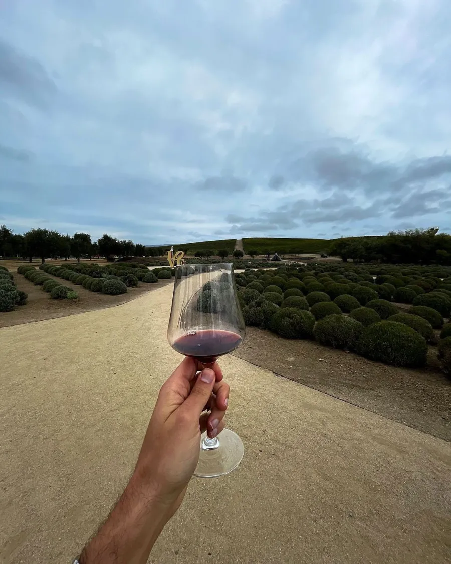 Bachelor in Paradise’s Chris Randone Reveals He’s Finally ‘Happy' After Krystal Nielson Split