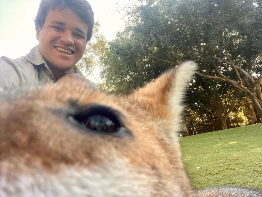 Bindi Irwin and Chandler Powell's Daughter Meets Zoo Animals Wallabies