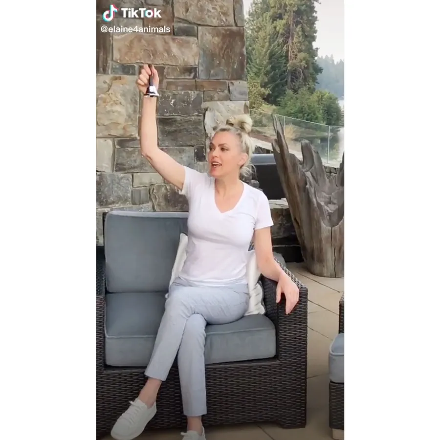 Celebrities Who Recreated Their Most Iconic Roles Over Years Elaine Hendrix Lisa Ann Walter