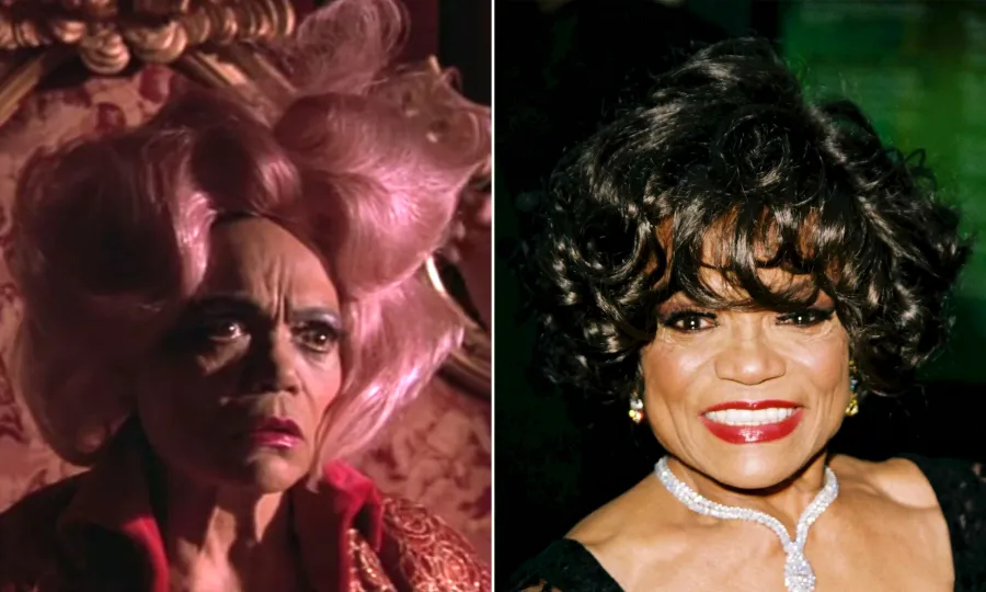 ‘Harriet the Spy’ Cast: Where Are They Now?