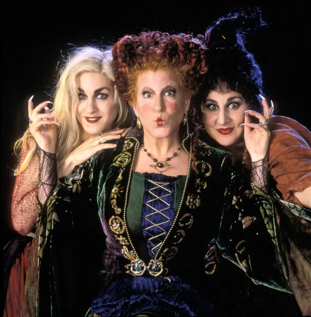 'Hocus Pocus&rsquo; Vinessa Shaw Shares Whether She&rsquo;s Returning for the Sequel: 'It Would Be So Much Fun'