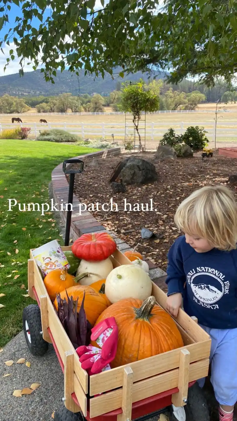 Tom Welling Celeb Parents' Pumpkin Patch Pics