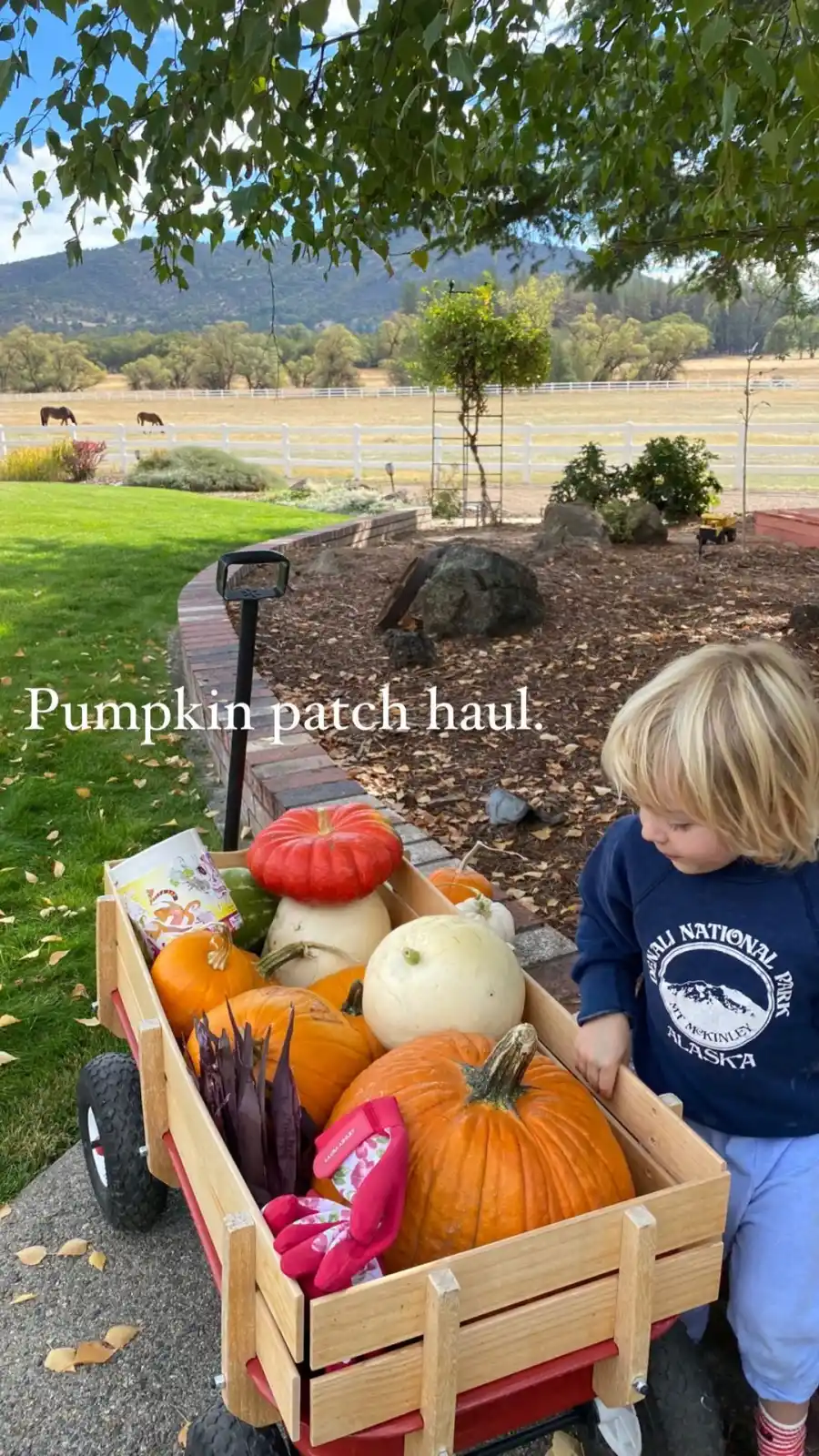 Tom Welling Celeb Parents' Pumpkin Patch Pics