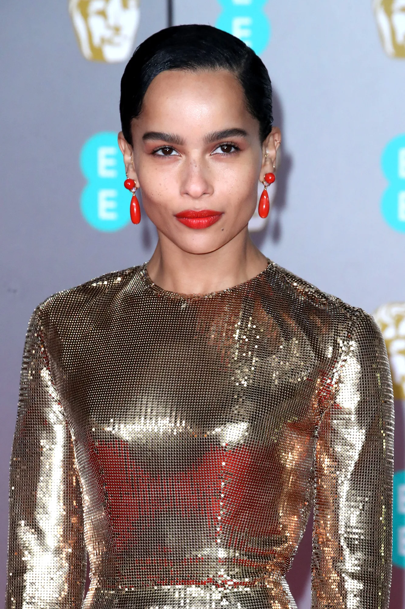 Zoe Kravitz Celebrity Bio