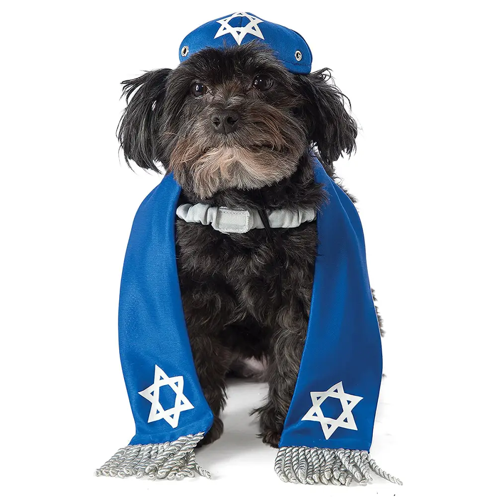 amazon-pet-holiday-costumes-hanukkah