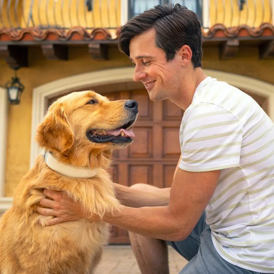 holiday-gifts-pet-lovers-halo-collar