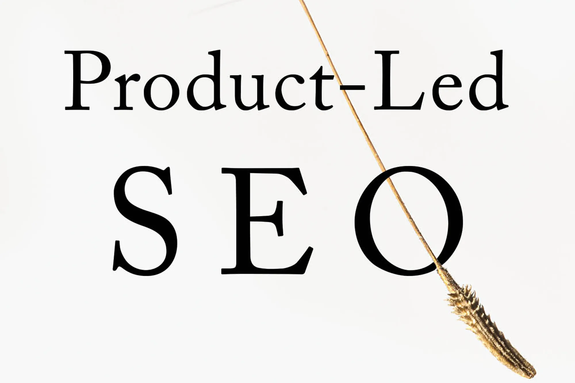 Product led SEO wide