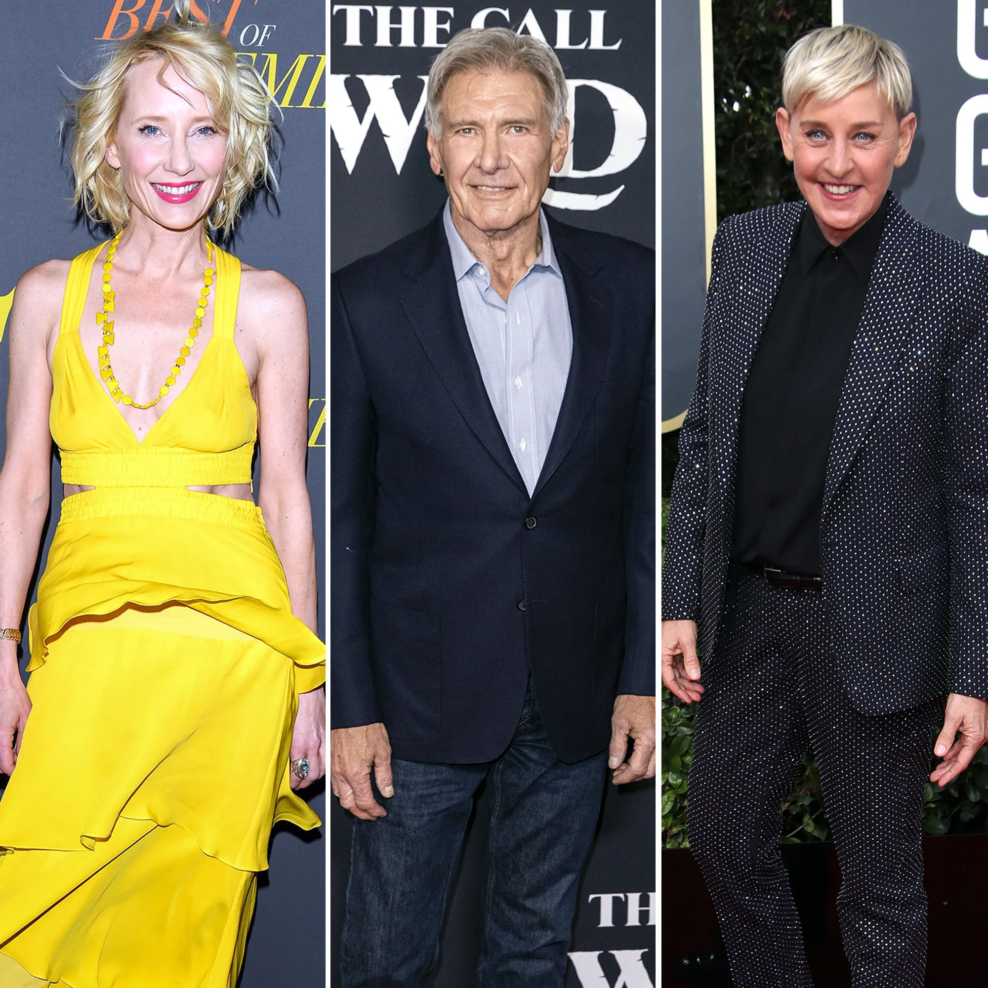 Anne Heche Had Huge Pay Gap With Harrison Ford – But He's Still Her 'Hero' for Hiring Her Amid Ellen Romance