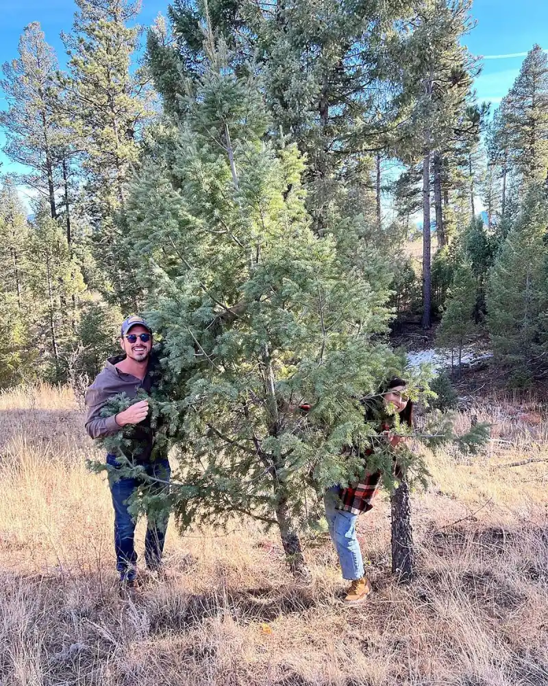 Ben Higgins Jessica Clark Timeline Update Tree