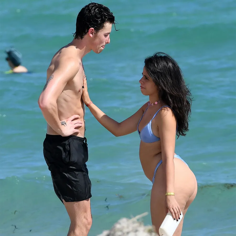 Camila Cabello and Shawn Mendes Packed on the PDA 2 Weeks Before Split