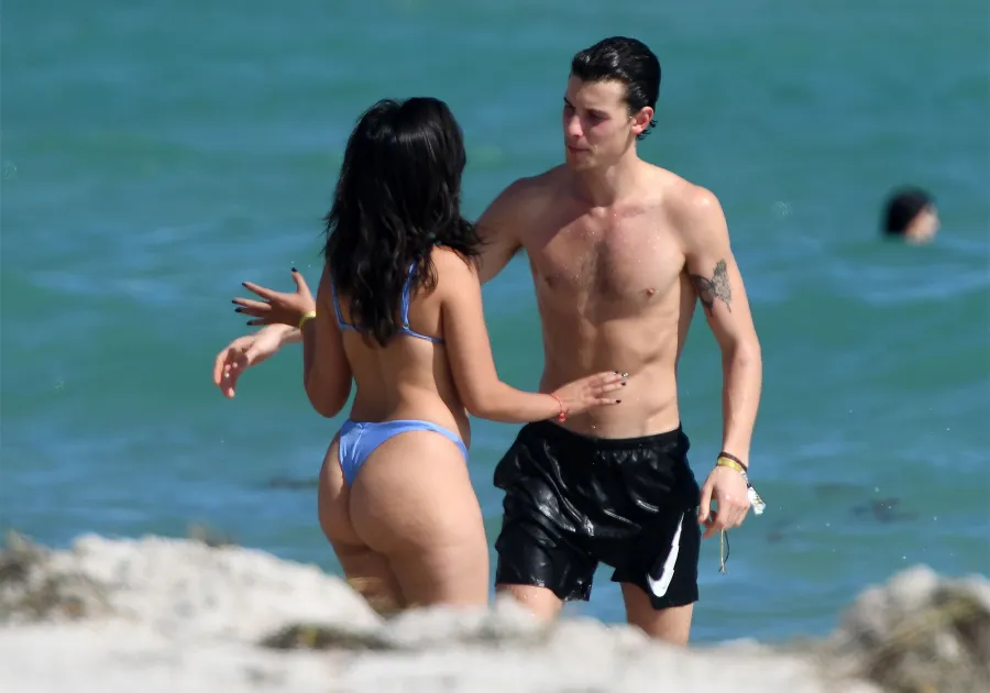 Camila Cabello and Shawn Mendes Packed on the PDA 2 Weeks Before Split