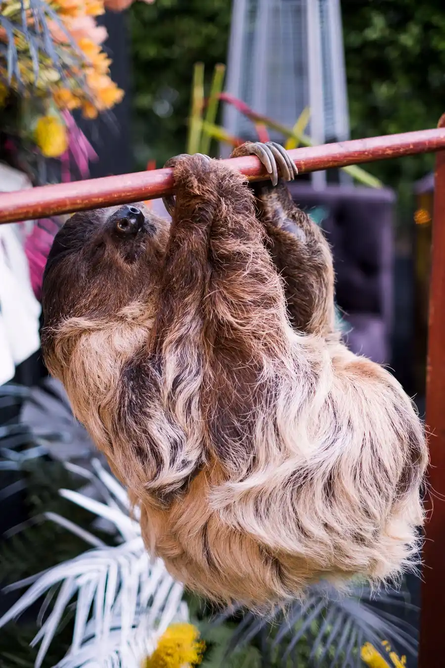 Christine Quinn Throws Sexy Baby Shower on Selling Sunset