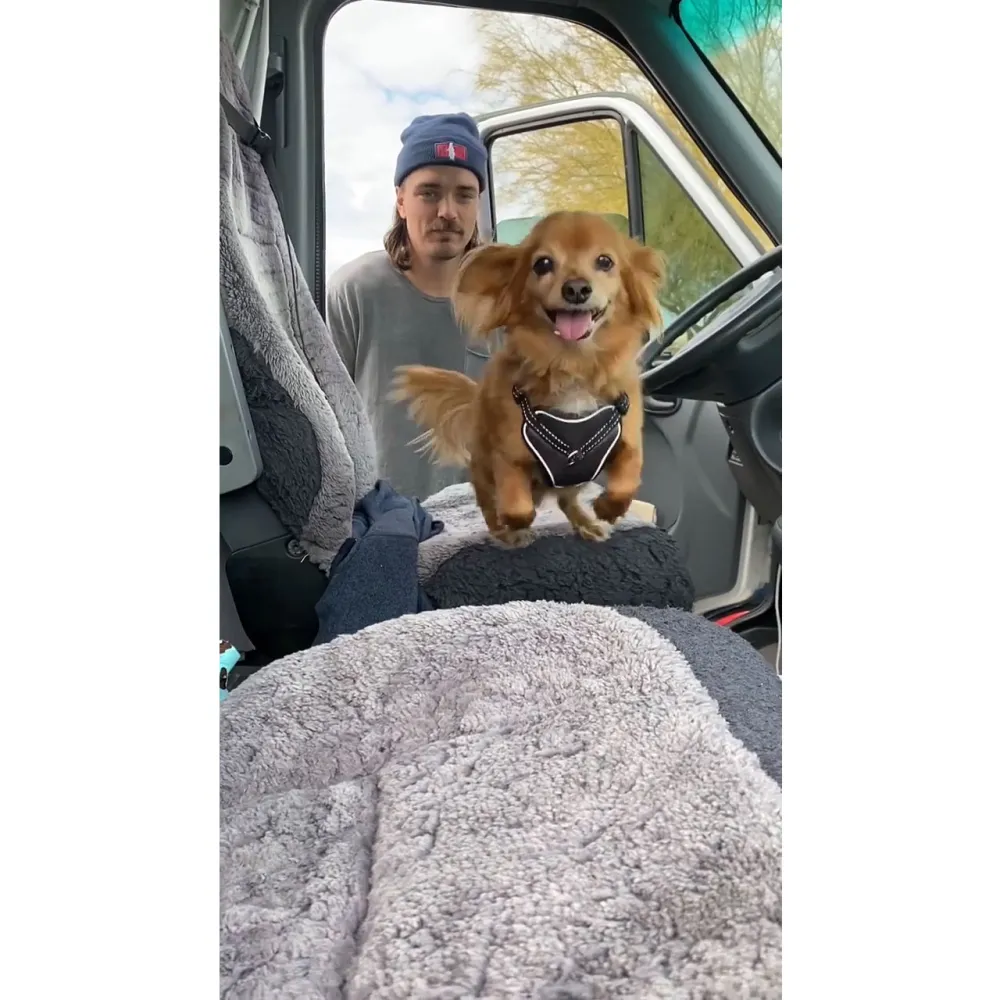 Dean Unglert and Caelynn Miller-Keyes Mourn Their Dog Pappy 2