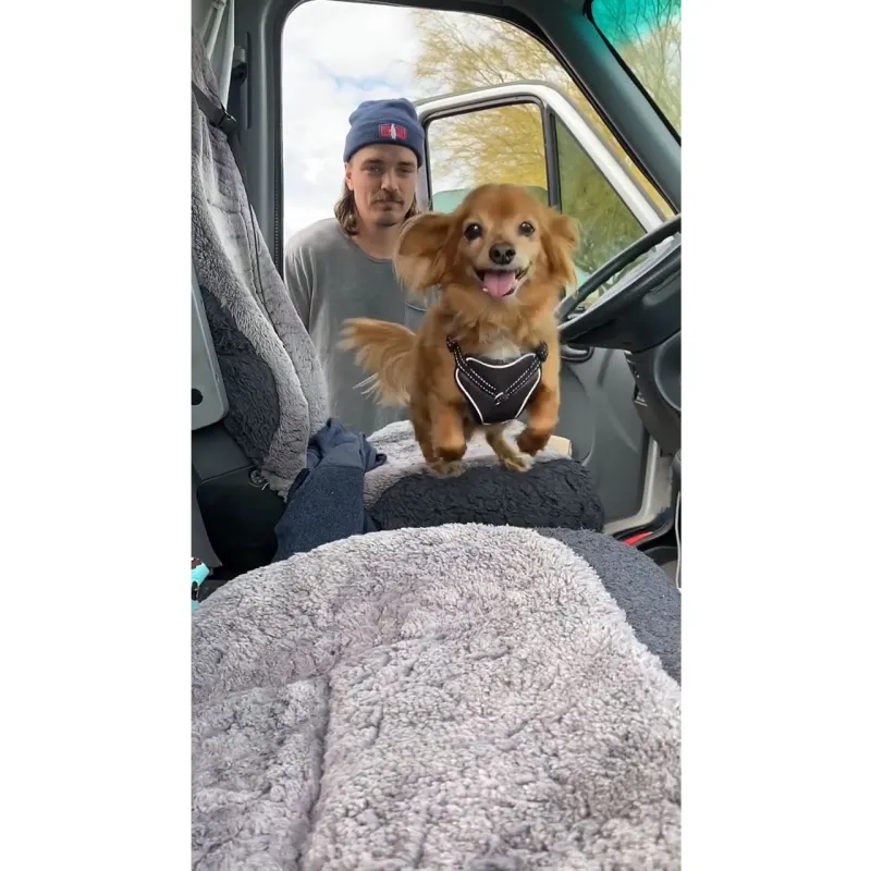 Dean Unglert and Caelynn Miller-Keyes Mourn Their Dog Pappy 2