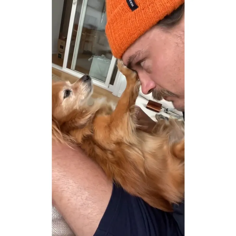 Dean Unglert and Caelynn Miller-Keyes Mourn Their Dog Pappy 3