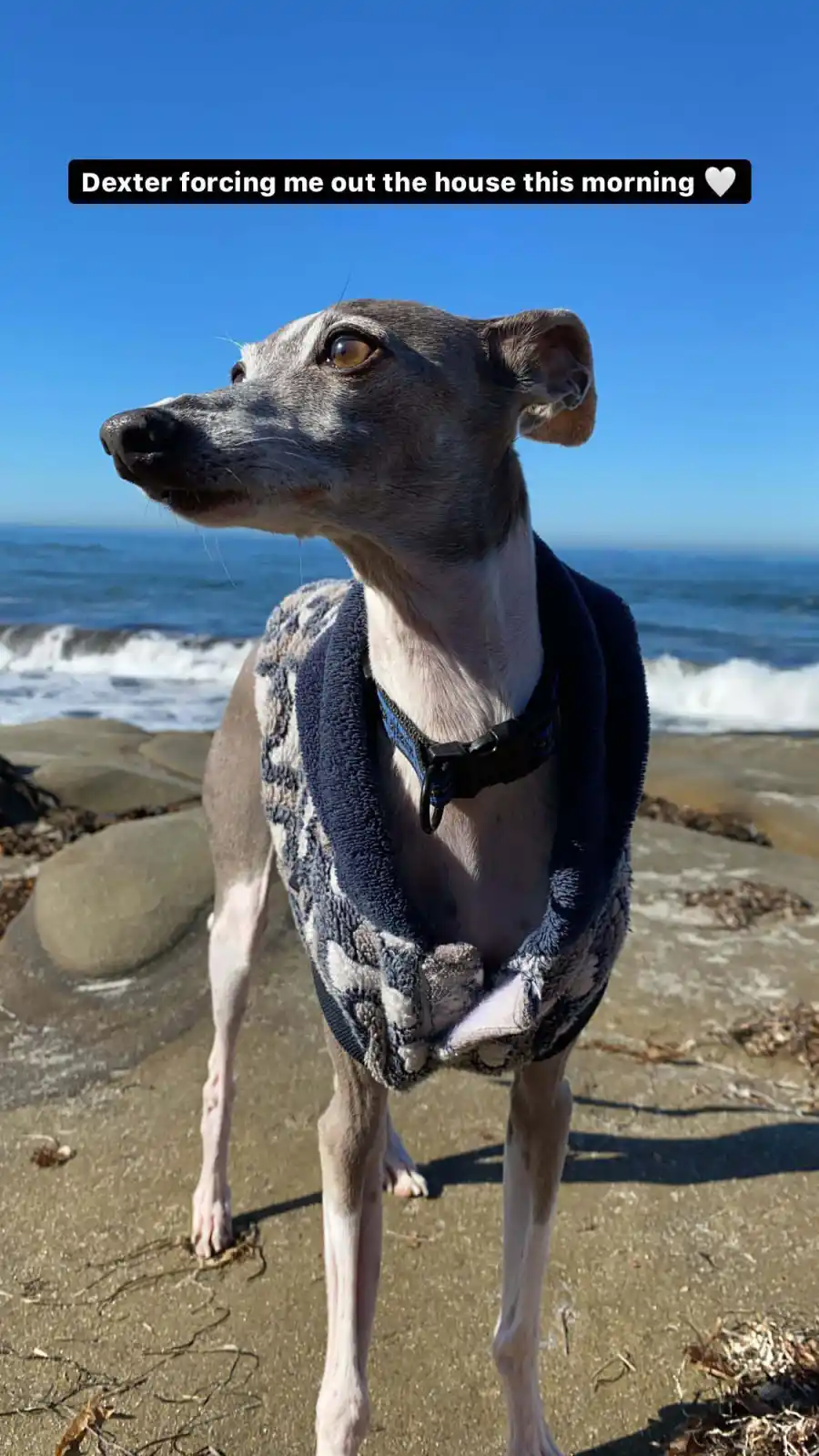 Everything Katie Thurston and Blake Moynes Have Said About Moving On Following Their Split