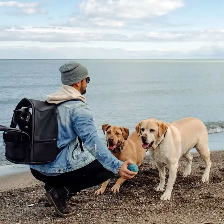 Everything Katie Thurston and Blake Moynes Have Said About Moving On Following Their Split