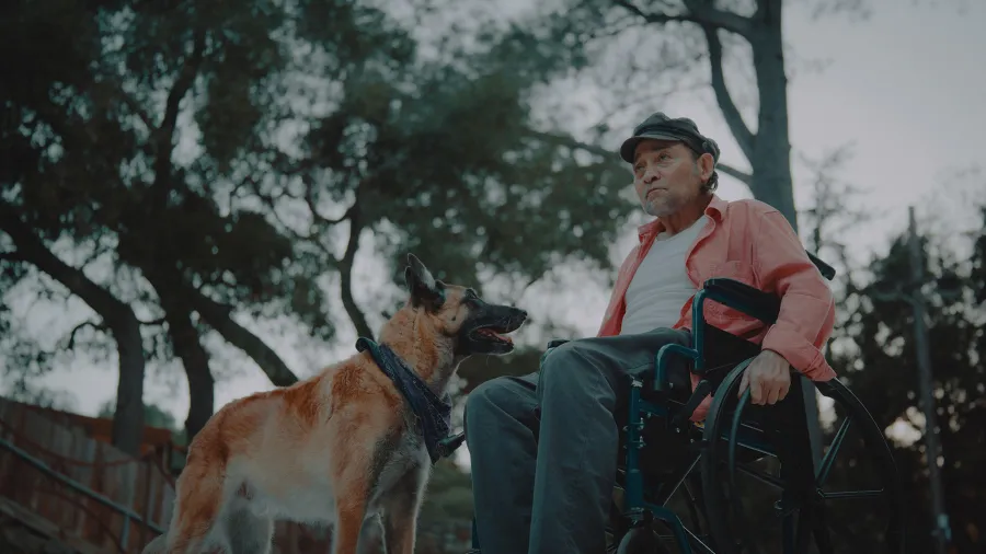 Hulus Curse of the Von Dutch Everything to Know About the True Crime Series