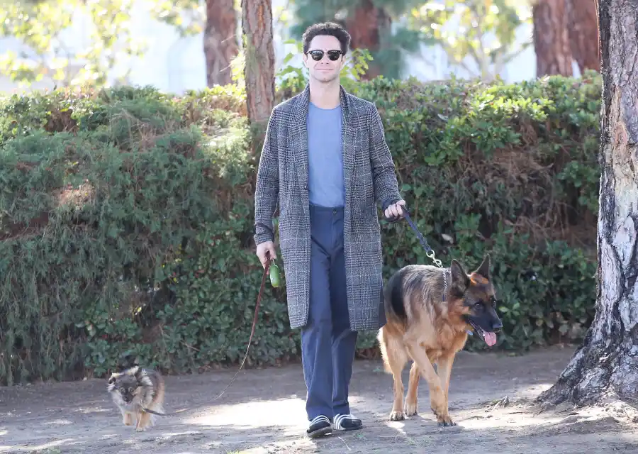 Jake Ryan Chris Hot Hunks Walking Their Dogs Sasha Farber