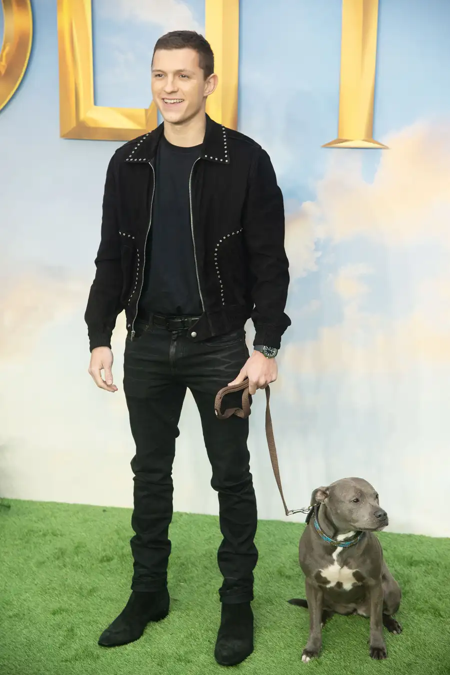 Jake Ryan Chris Hot Hunks Walking Their Dogs Tom Holland