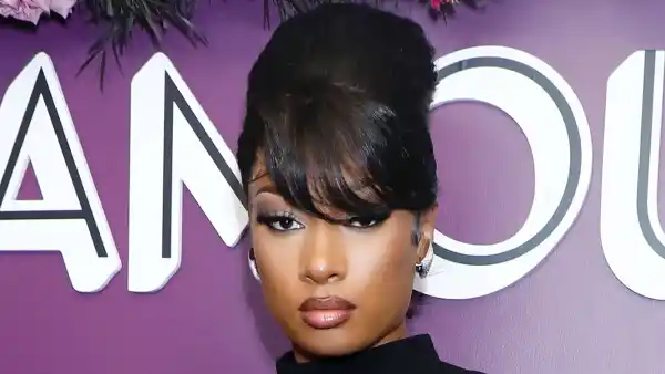 Megan Thee Stallion Shared a Close Up Photo of Her Stretch Marks and Fans Are Loving Her Realness