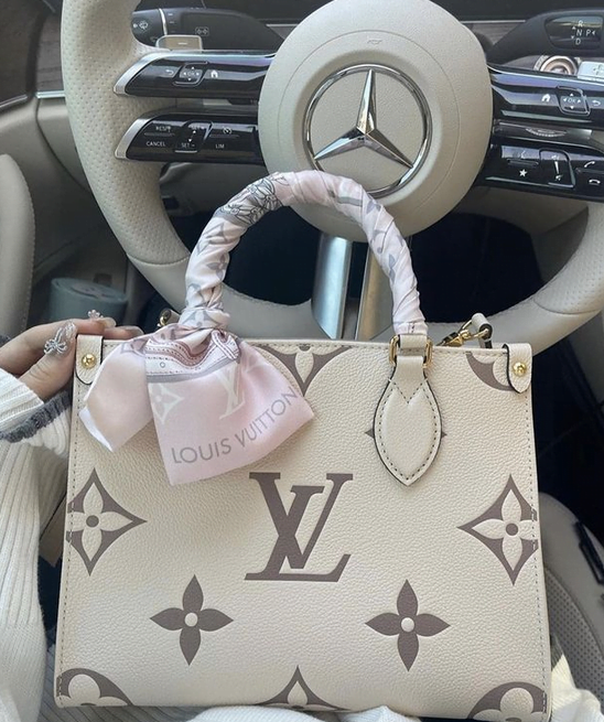 LV bags,Louis Vuitton Popular bags