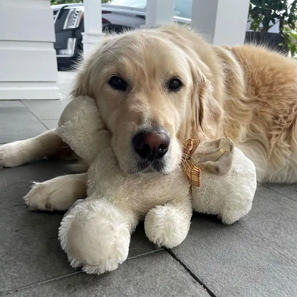 Shannon Beador Asks For Help Finding Her Missing Dog: &lsquo;We&rsquo;re Devastated