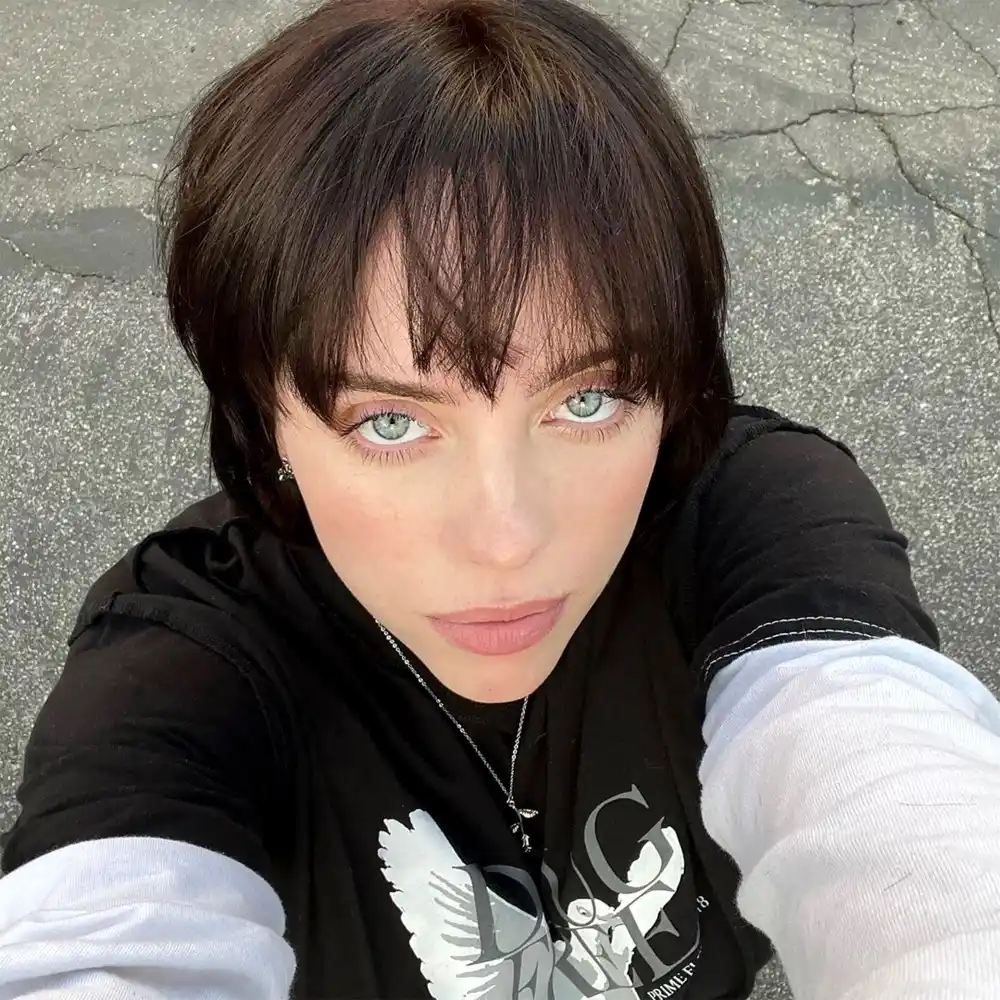 Back to Brunette! Billie Eilish Ditches Her Blonde Mane: &lsquo;Miss Me?&rsquo;