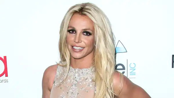 Britney Spears Posts Cryptic Message About New Addition to Family After Sharing She Wants to Have a Baby