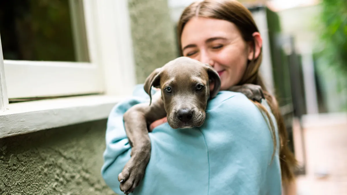 California-Based Dog Rescue Labelle Foundation Seeks Donations and Adoptions During 2021 Holidays