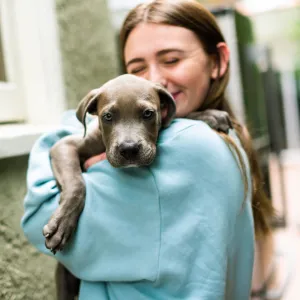 California-Based Dog Rescue Labelle Foundation Seeks Donations and Adoptions During 2021 Holidays