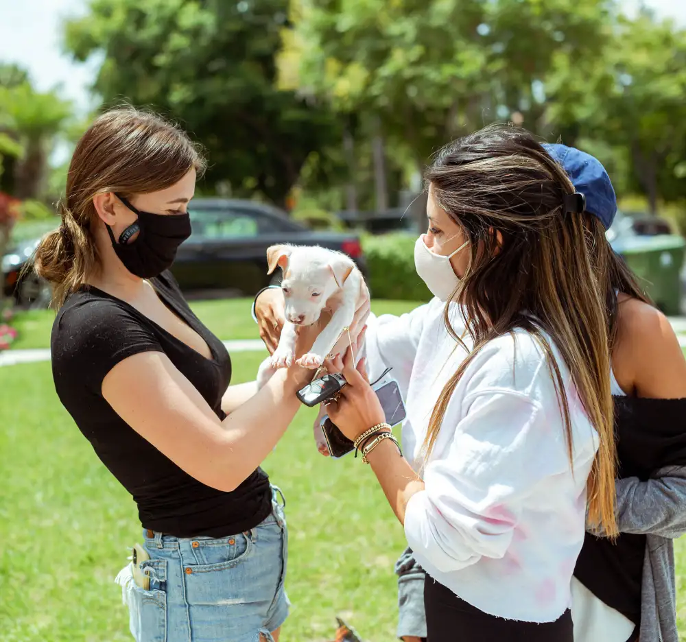 California-Based Dog Rescue Labelle Foundation Seeks Donations and Adoptions During 2021 Holidays