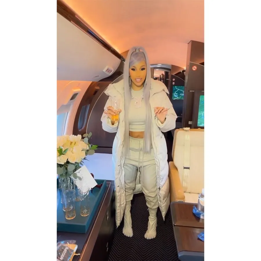 Cardi B Ditches Her Dark Hair for an Icy Purple Hue