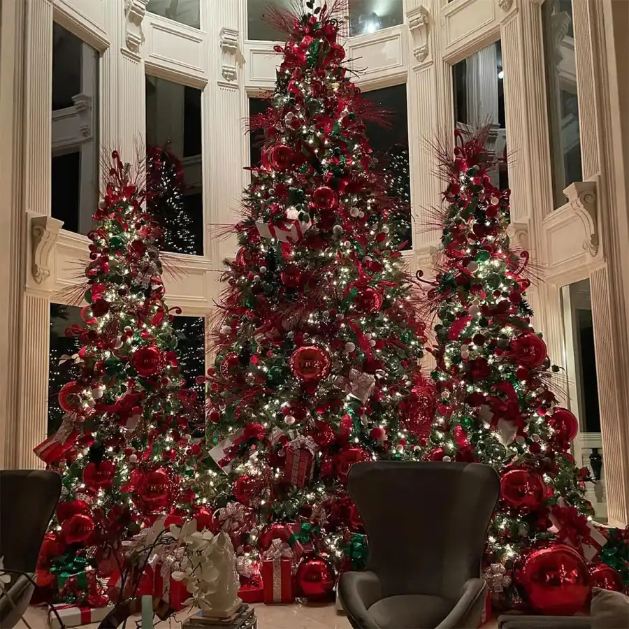 How Stars Celebrated Christmas 2021