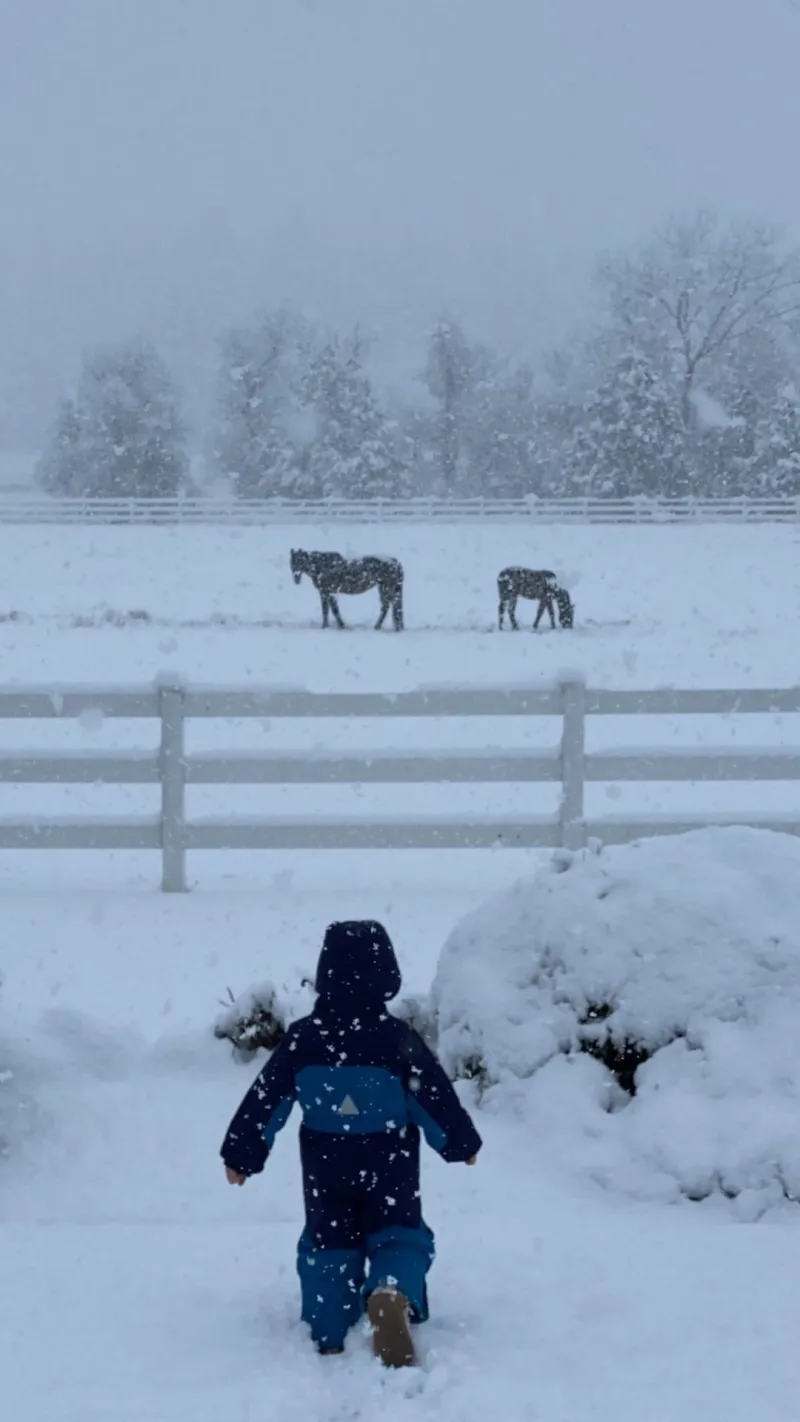 Celebrity Families Playing in the Snow in Winter 2021