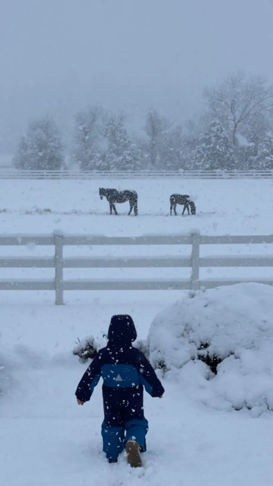 Celebrity Families Playing in the Snow in Winter 2021