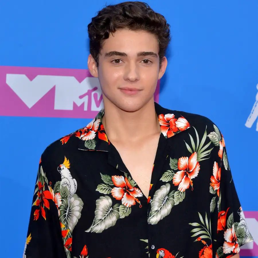 How Joshua Bassett Alludes to Past Olivia Rodrigo Drama on New Breakup Songs