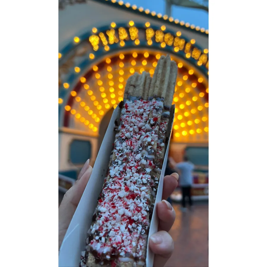 Inside Kourtney Kardashian Instagram and Travis Barker Holiday Trip to Disneyland With Kids 04