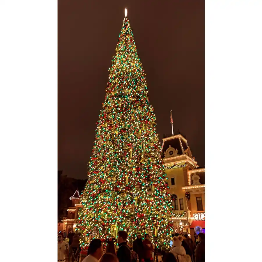 Inside Kourtney Kardashian and Travis Barker Instagram Holiday Trip to Disneyland With Kids 04