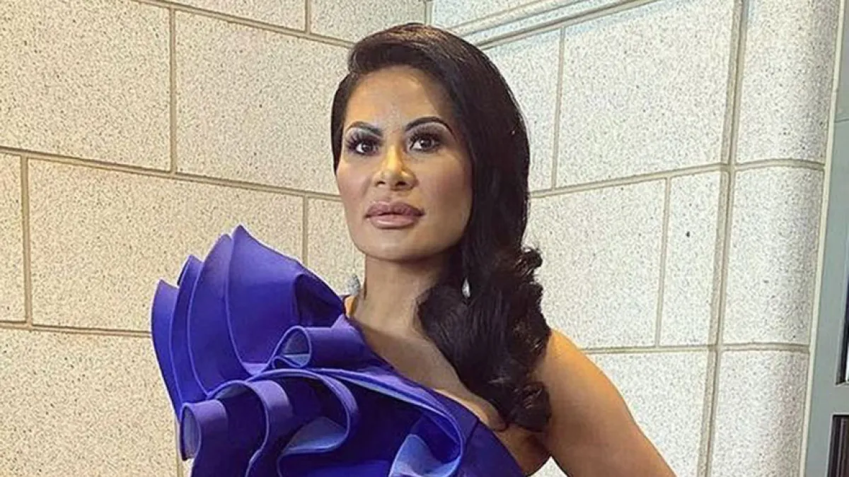 Jen Shah Asks Judge to Throw Out Case After Hulu's 'The Housewife & the Shah Shocker Doc Because It Will Poison Jury