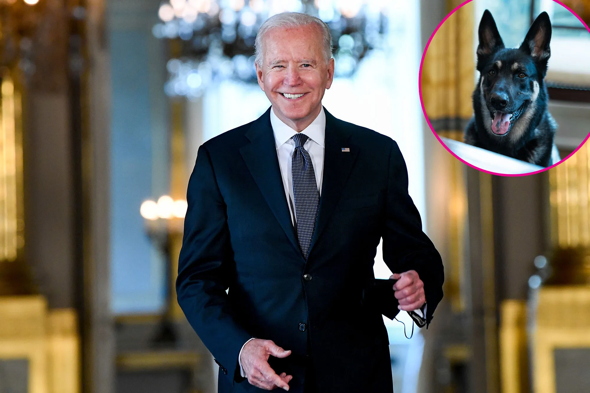 Joe Biden's Dog Major Has a New Family, White House Will Get a Cat in 2022